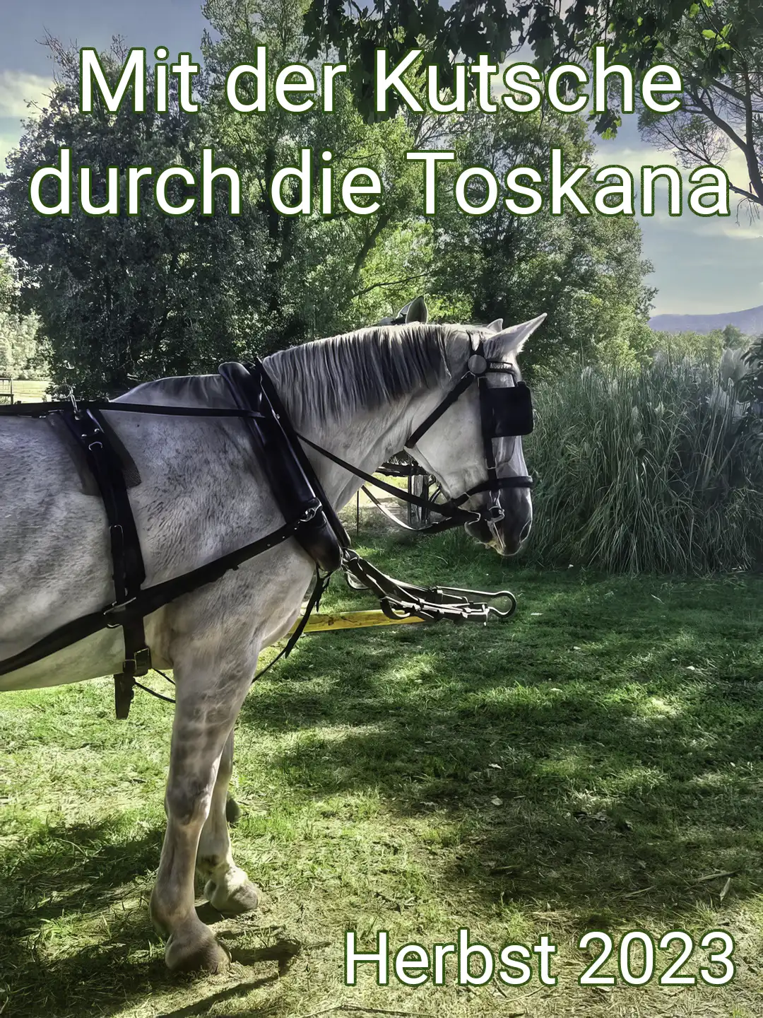 kutsche-toskana-reise.webp